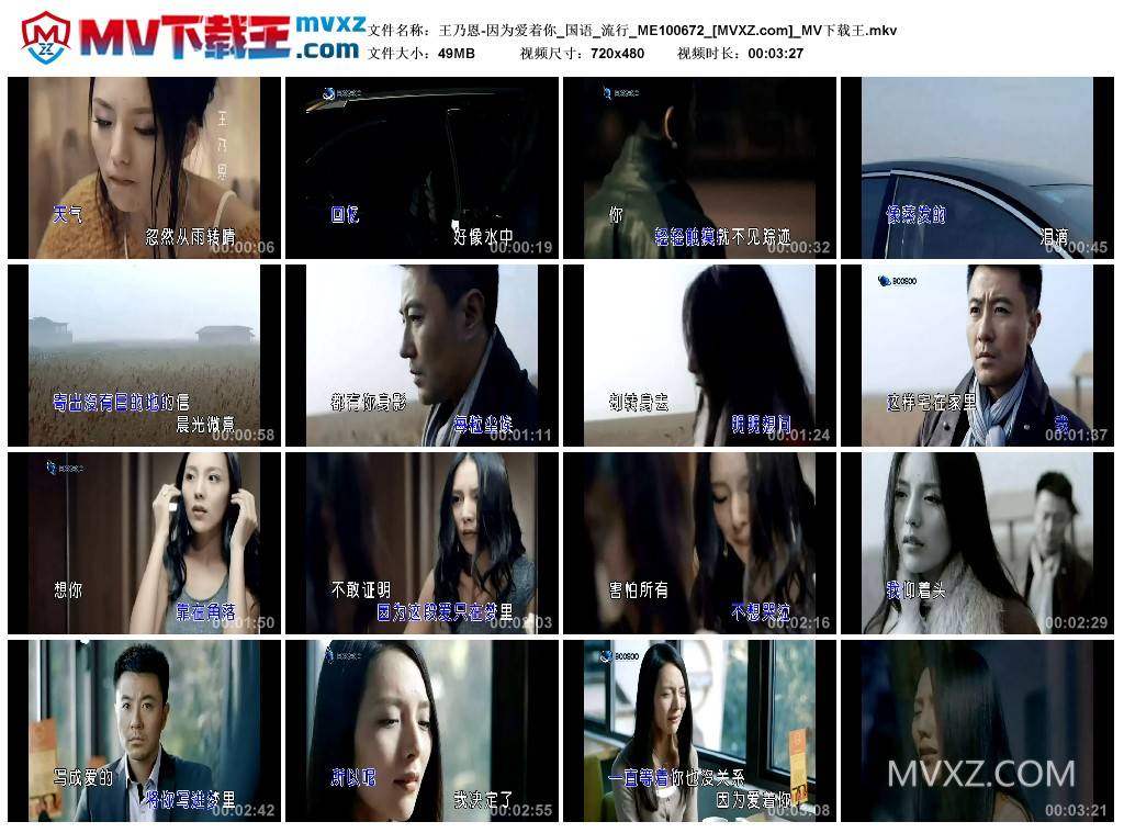 王乃恩-因为爱着你_国语_流行_ME100672